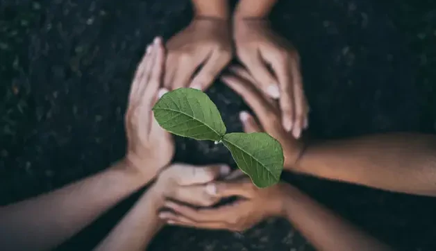 Mindful living session showing a people practicing yoga in nature, representing holistic healing, integrative wellness, and nervous system regulation.